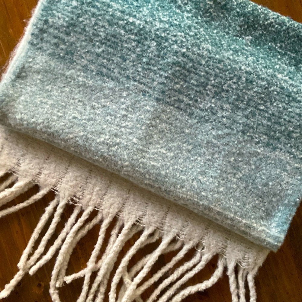 Plush & Cozy Blanket Scarf - NwoT